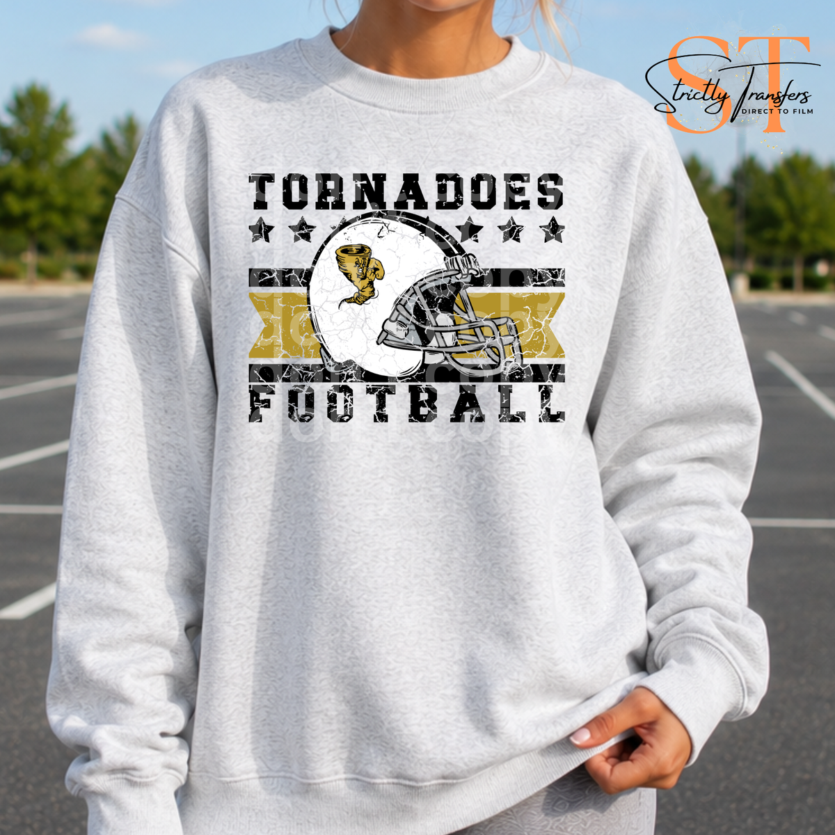 Distressed Football Helmet Logo Mascots Direct to Film Transfers