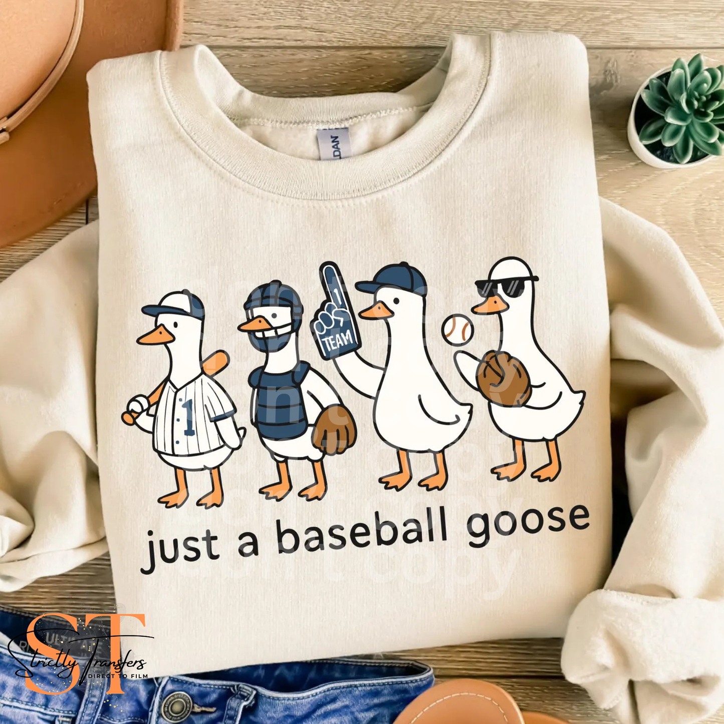 Just a Baseball Goose Direct to Film Transfers