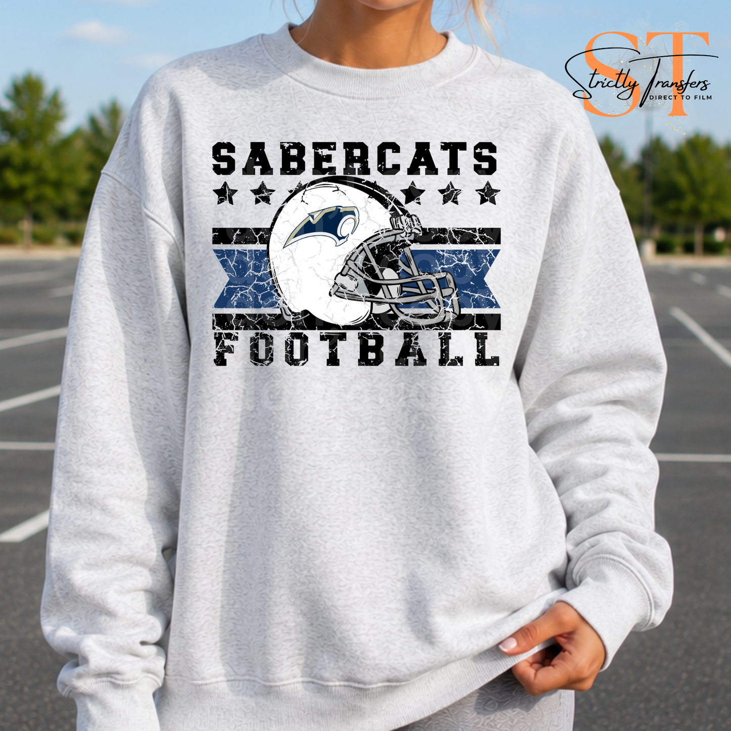 Distressed Football Helmet Logo Mascots Direct to Film Transfers