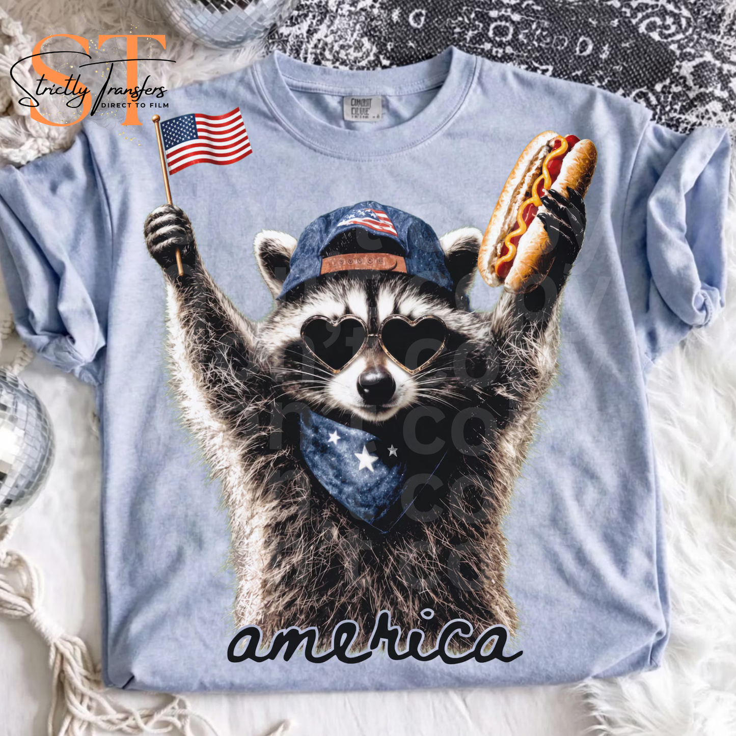 America Racoon Direct to Film Transfers