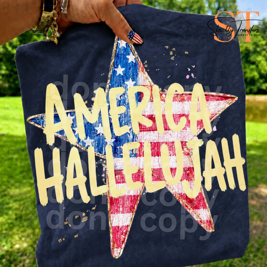 America Hallelujah Direct to Film Transfers