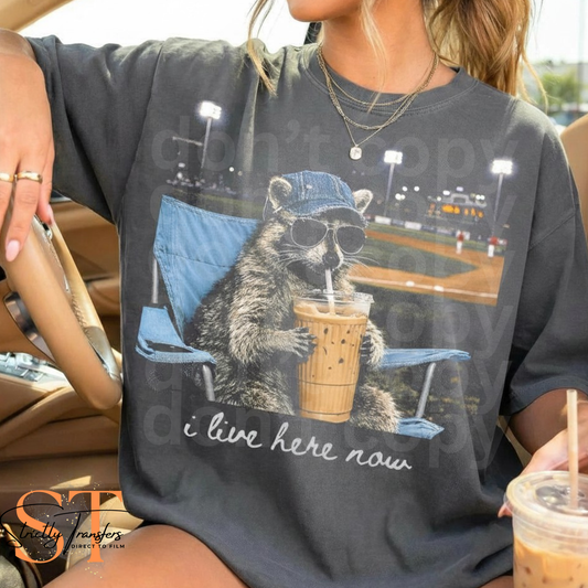 I Live Here Now Baseball Racoon Direct to Film Transfers